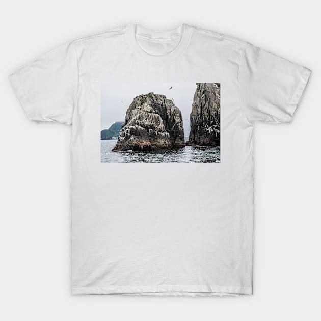 Sea Lions Island Rest T-Shirt by andykazie